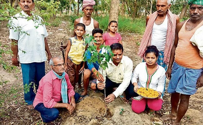 प्रकृति को सजा-संवार रहे हैं बिक्रम के गणितज्ञ रूपेश कुमार