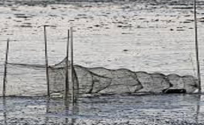 मछली पकड़ने के लिए फेंके जाल में फंस कर 35 वर्षीय मछुआरे की मौत