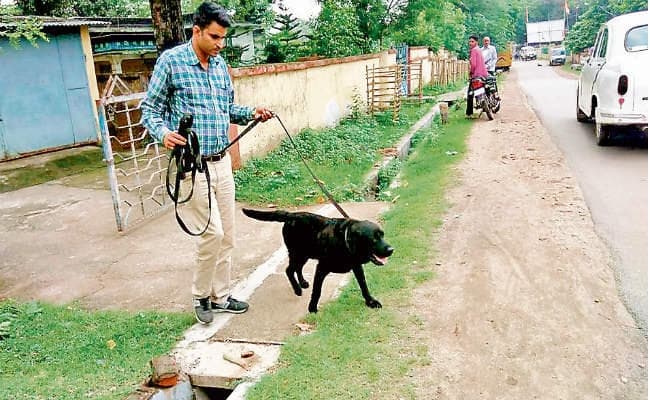 बोकारो थर्मल : पुलिस का नेटवर्क ध्वस्त, दो माह में 12 बंद आवासों का टूटा ताला