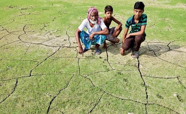 कमजोर मॉनसून ने अटकायीं किसानों की सांसें