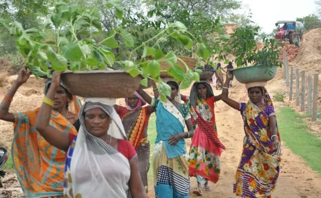 वन महोत्सव 2018 :  पलामू में स्कूली बच्चों और पौधों के बीच आत्मीय रिश्ता जोड़ने की कवायद