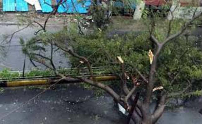 बारिश में दुकान पर पेड़ की डाली गिरी