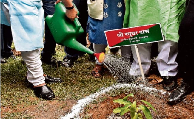 रांची : नदी महोत्सव सह वृहत वृक्षारोपण अभियान, 24 जिलों में एक दिन में लगे नौ लाख पौधे