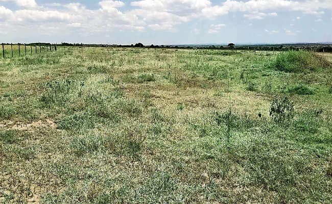 पटना : एयरफोर्स से जमीन की अदला-बदली में अटका बिहटा एयरपोर्ट का भूमि अधिग्रहण