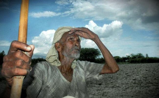 झारखंड में अब तक शुरू नहीं हुआ रोपा, कम बारिश होने से किसान परेशान