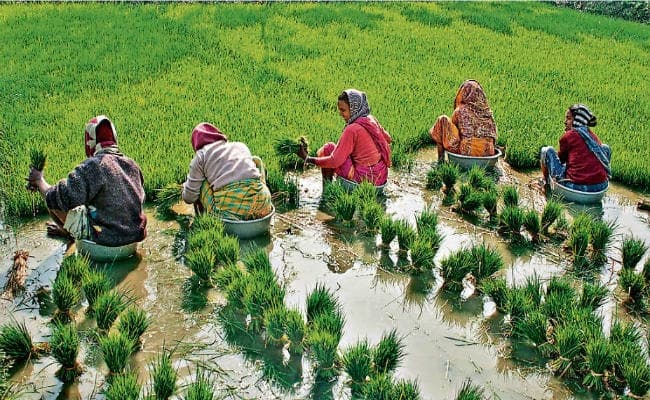 किसानों के लिए उठाने होंगे ठोस कदम