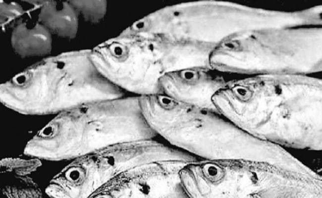 कोलकाता : मछली को लेकर बंगाल में आतंक, सेहत के लिए नुकसानदेह है फारमोलिन