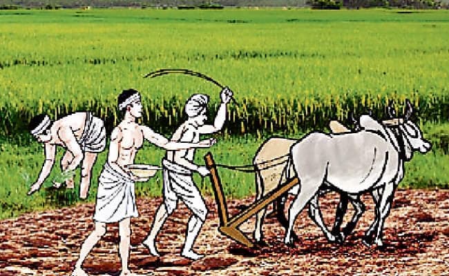 रांची : कृषि उत्पादों को मार्केट उपलब्ध कराने में झारखंड देश भर में 12वें स्थान पर