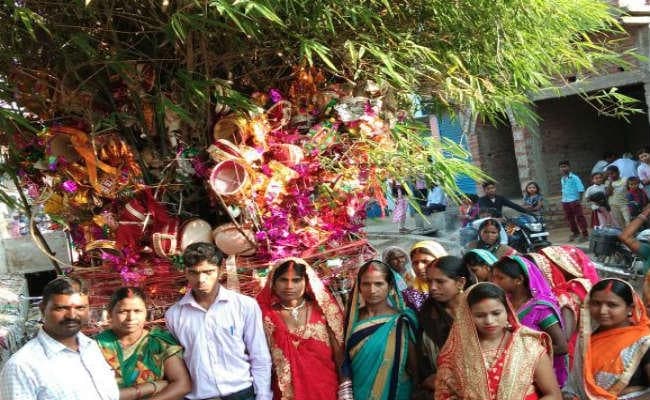 बड़कागांव में बांस का एक ऐसा पेड़, जो 250 साल से है हरा-भरा, रथयात्रा के दिन विशेष पूजा की परंपरा