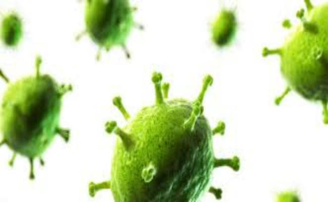 शिल्पांचल में बारिश शुरू होते ही बढ़ा वायरल रोग का खतरा