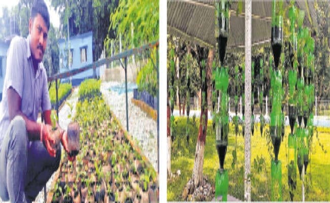 प्लास्टिक की जगह नारियल खोल में उगाये जा रहे पौधे