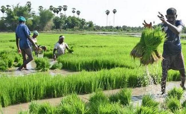 किसानों की आय से नहीं, कर्ज माफी के कारण ग्रामीण मांग में हुआ सुधार