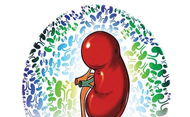 भर्इ वाह! किडनी एक्सचेंज कर तीन महिलाओं ने बचायी पति की जान