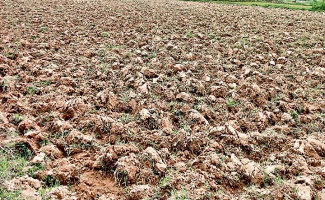 सूखे का संकट : सामान्य से करीब आधी बारिश, खरीफ पर संकट