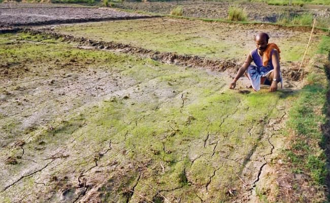 मॉनसून कमजोर : मौसम में इस साल लगातार हो रही उठापटक, जनजीवन प्रभावित