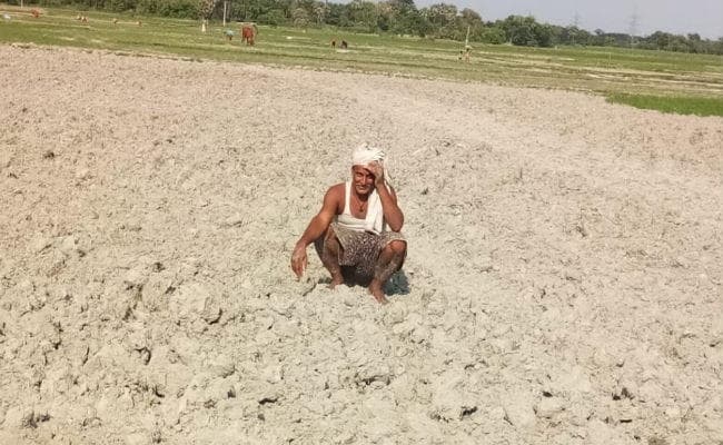 सामान्य से 42 फीसदी कम बारिश बिहार पर मंडरा रहा सूखे का खतरा