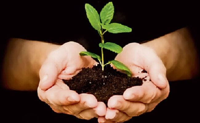 स्वागत कीजिए एक बार फिर प्रकृति की ओर लौटते लोगों का