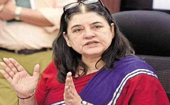 कड़ी सजा का प्रावधान होता तो बिहार के मुजफ्फरपुर जैसी घटना नहीं होती : मेनका गांधी