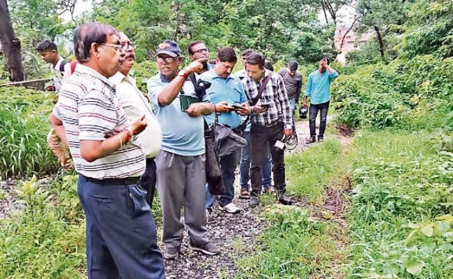 रांची : ज्यादा वजन नहीं सह सकती पहाड़ी, मिट्टी का कटाव रोकने के लिए लेमन ग्रास और पौधे लगाना जरूरी