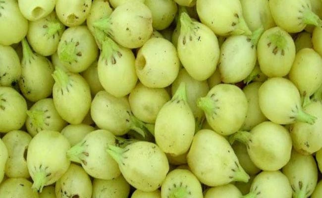 ‘महुआ रस'' बेचने पर विचार कर रही है सरकार