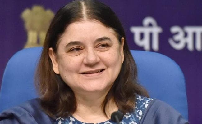 घरेलू हिंसा से भाग कर बच्चों के साथ विदेशों से लौटी महिलाओं की मदद करेगा NCPCR