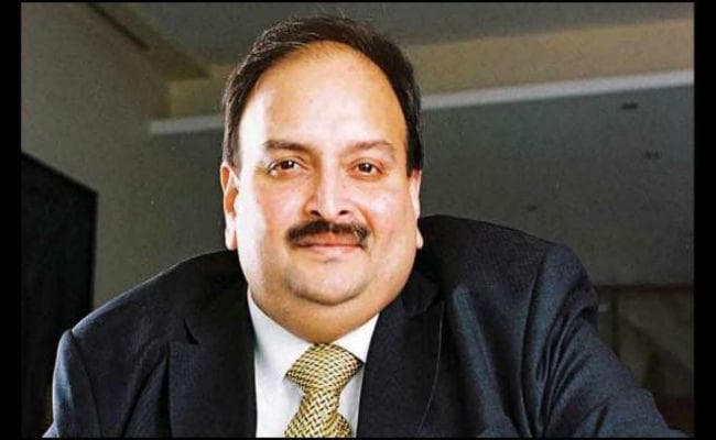 किसी भी वक्त हिरासत में लिया जा सकता है PNB Scam का आरोपी मेहुल चोकसी!