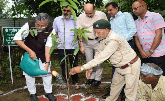 वन महोत्सव के पहले दिन उपमुख्यमंत्री ने आवास पर किया पौधरोपण, सुपौल में टिश्यू कल्चर लैब का करेंगे उद्घाटन