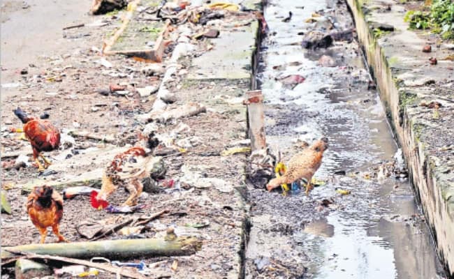 तीन दिन से नहीं उठ रहा शहर का कचरा ब्लीचिंग पाउडर का छिड़काव तक नहीं