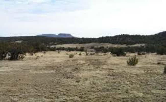 अब 50 एकड़ जमीन पर कब्जे की तैयारी