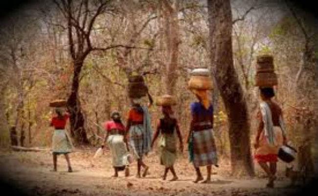 विश्व आदिवासी दिवस:  इस बार का विषय विस्थापन और आंदोलन