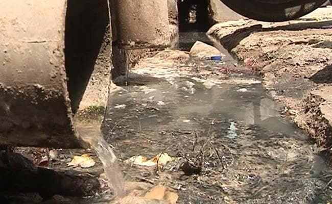 जल जमाव से बढ़ा मच्छरों का प्रकोप नगर निगम नहीं करा रहा फॉगिंग