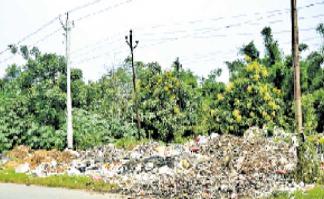 दुर्गंध ऐसी कि सांस रोक कर गुजरना पड़ता है इस सड़क से