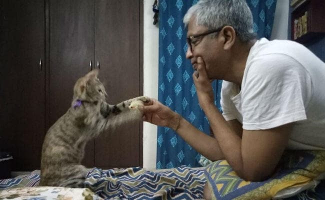 आम आदमी पार्टी को बड़ा झटका: पत्रकारिता से राजनीति में आए आशुतोष ने दिया इस्तीफा, जानें वजह