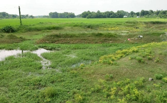 कुसहा त्रासदी का एक दशक : पीछा नहीं छोड़तीं तबाही की यादें, नया कोसी बनाने का सपना अब भी अधूरा, अब भी मुआवजे से वंचित हैं कई परिवार