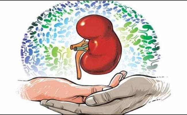 प्रेरक : ब्रेन डेड लड़की ने इस तरह लौटायीं पांच लोगों की खुशियां