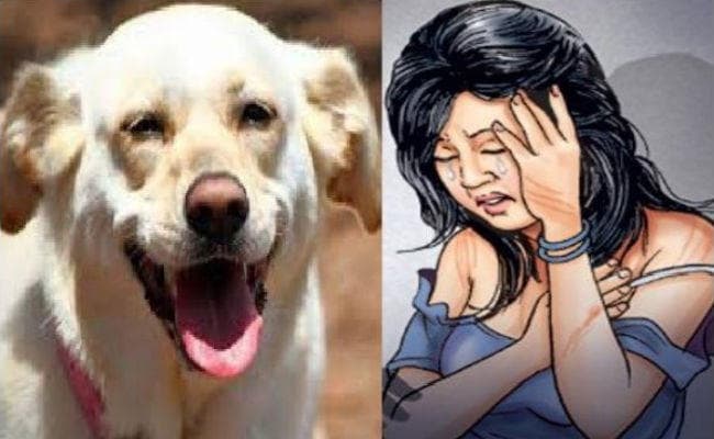 कुत्ते की वफादारी, रेप की कोशिश नाकाम कर बचायी किशोरी की इज्जत