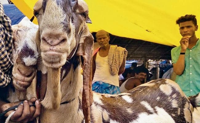 पटना : गांधी मैदान में कल सुबह 8 बजे होगी बकरीद की नमाज