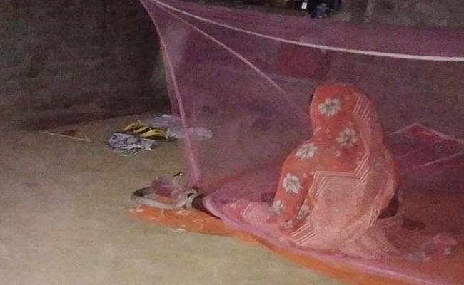 महिला के पैर से डेढ़ घंटे तक लिपटा रहा कोबरा, लोग करते रहे भजन-कीर्तन और फिर...