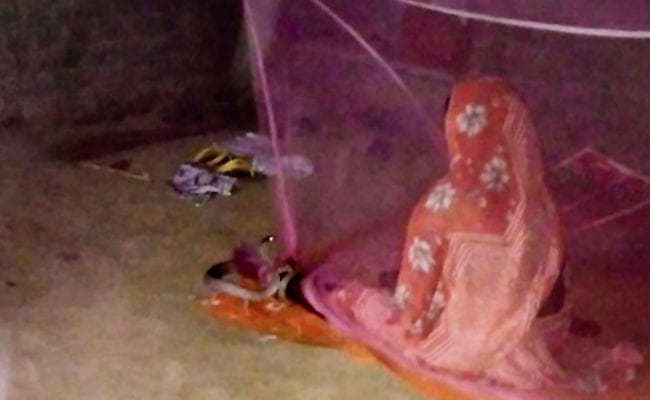 मुंगेर : महिला के पैर में डेढ़ घंटा लिपटा रहा कोबरा