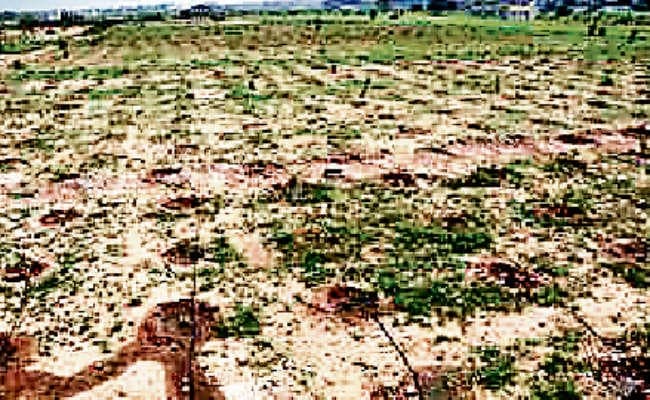 झारखंड में नहीं बंटी भूदान की 9.8 लाख एकड़ जमीन