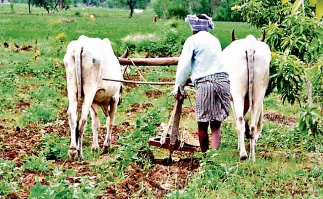 रांची : 50 फीसदी से कम रोपा वाले प्रखंडों की सूची बनायें : घोलप