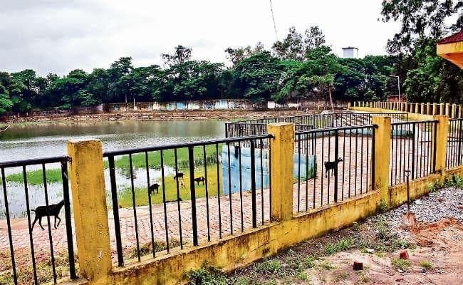रांची : डिजाइन ऐसा बनाया कि आधा भी नहीं भरा तालाब