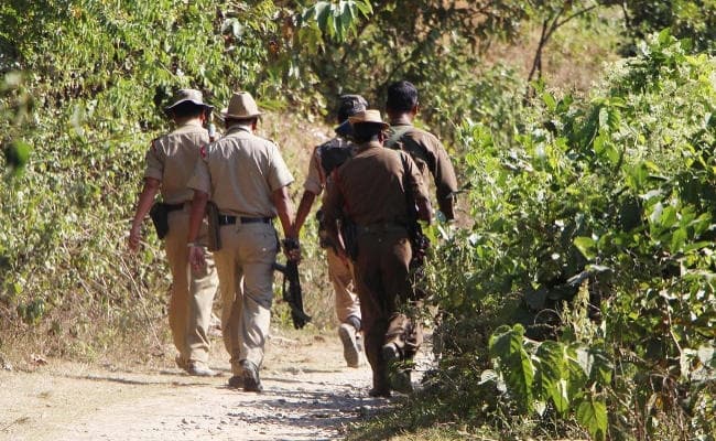 नक्सलियों के खिलाफ एसपी ने जंगलों में चलाया सर्च ऑपरेशन