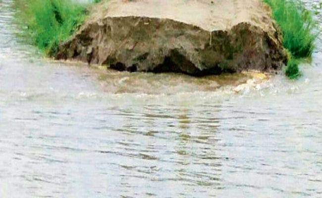 हवाकोल बांध पर मंडरा रहा कटाव का खतरा, धनतोला शिवालय नदी में समाया