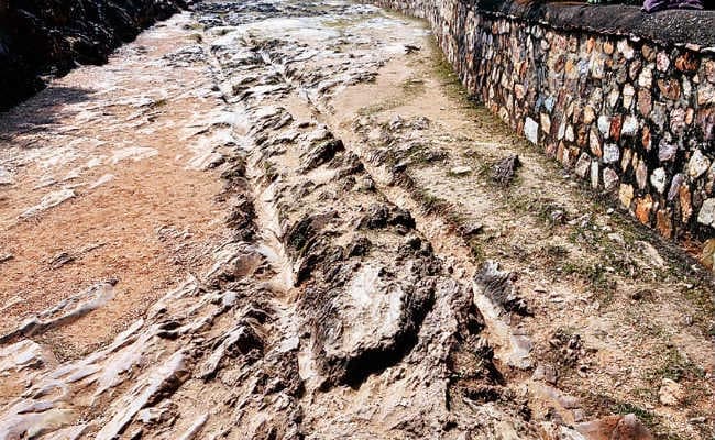 बिहारशरीफ : पांडवों के साथ रथ पर आये थे कान्हा, आज भी हैं रथचक्र के निशान