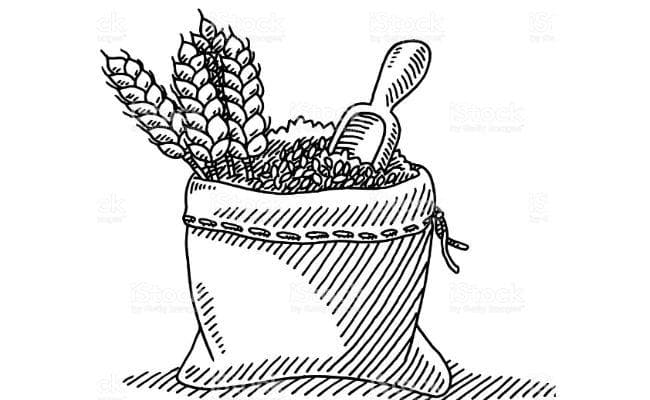 पटना : खाद्यान्न वितरण की होगी हाईटेक मॉनीटरिंग, दूर होगी परेशानी