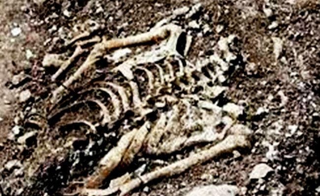 सासाराम : सीवान के डीपीओ के मकान में मिला नर कंकाल