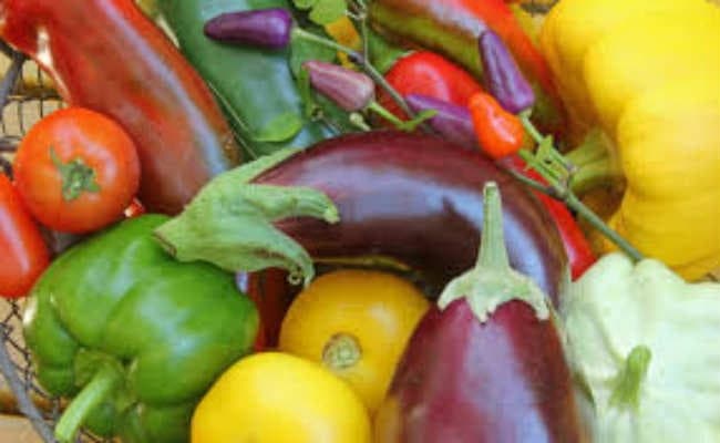 आम बागानों की जमीन पर होगी सब्जी की खेती