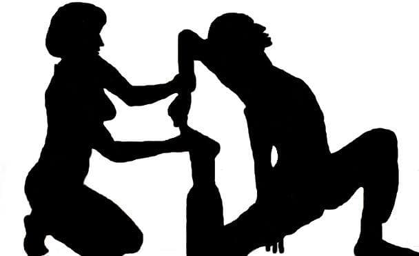 विश्व फिजियोथेरेपी दिवस : दर्द के साथ दवाओं से भी छुटकारा दिलाती है फिजियोथेरेपी