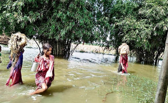 झारखंड के इन 83 गांवों में बाढ़ का खतरा, जलस्तर खतरे के निशान से 78 सेमी ऊपर